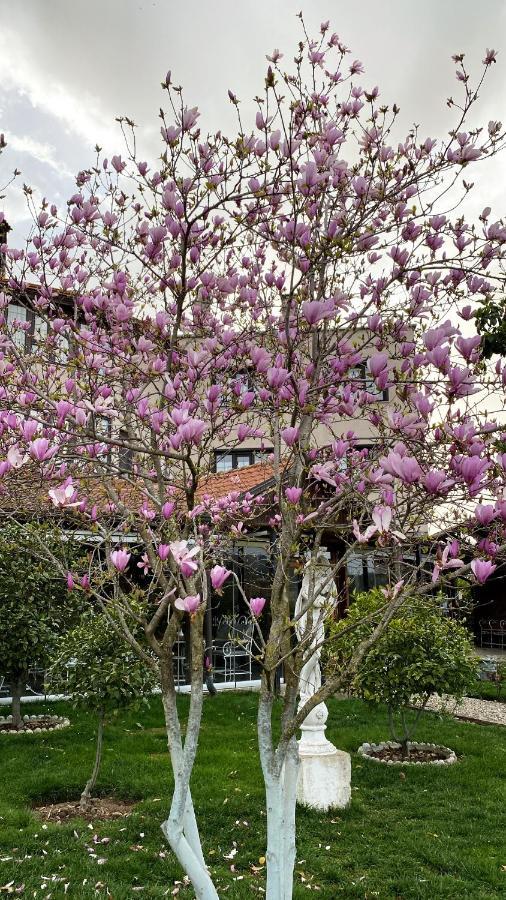 Park Ashik Otel Ljaknasi Dış mekan fotoğraf